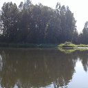 ���� ������, ������������, 46 ��� - ��������� 16 ���� 2019 � ������ ������ ��������