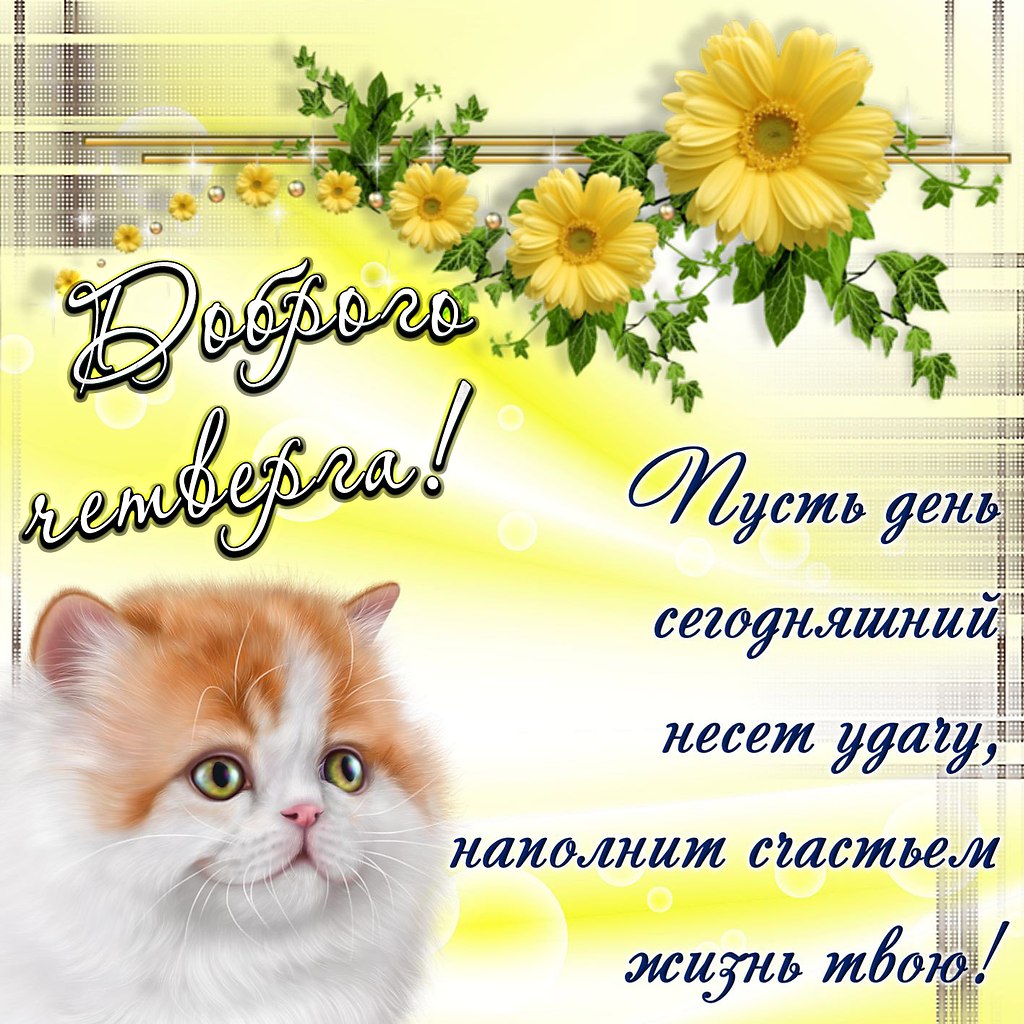   ! - 10  2019  07:51