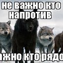  Igor, , 51  -  26  2019    