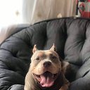 ��� 9 �������! �� ������� ���� ����������