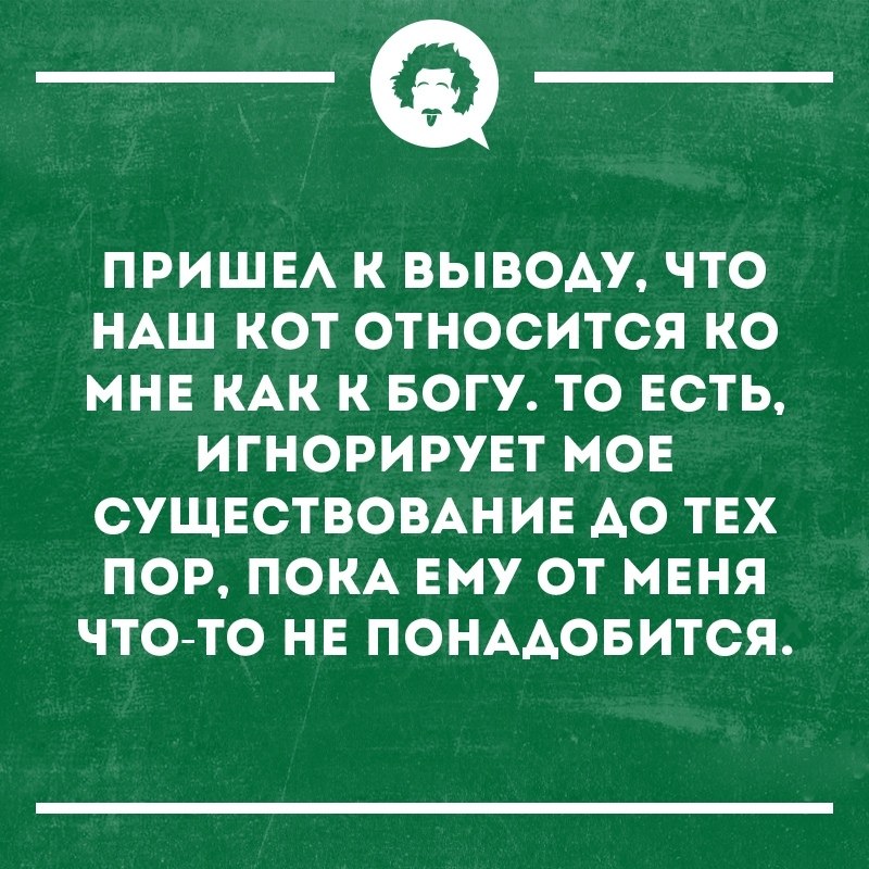   - 28  2019  03:54