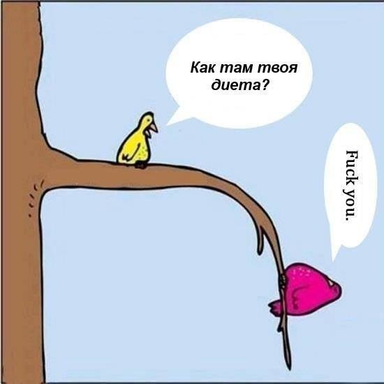  ..