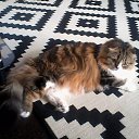 ���� Sandra, ������ - ��������� 6 ��� 2019 � ������ ������