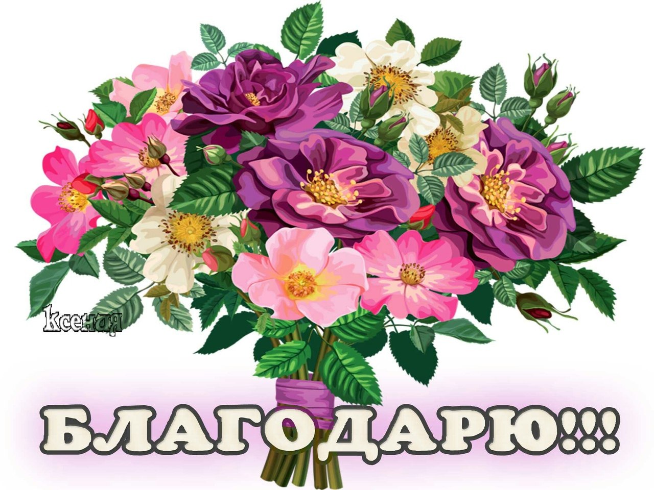   ,    . - 5  2019  17:12