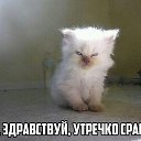 ���� �����, �������, 62 ���� - ��������� 11 ������� 2019 � ������ ���� ����������