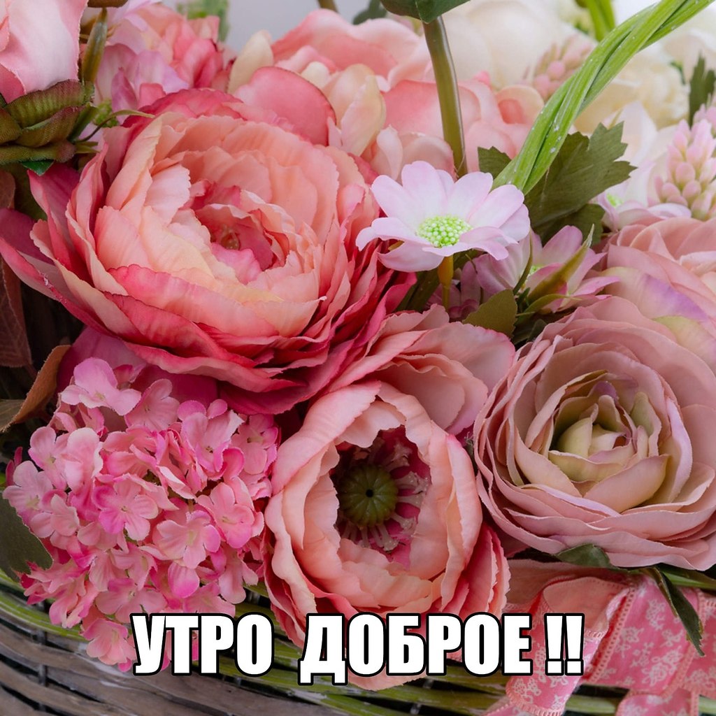   ,    . - 30  2019  21:44