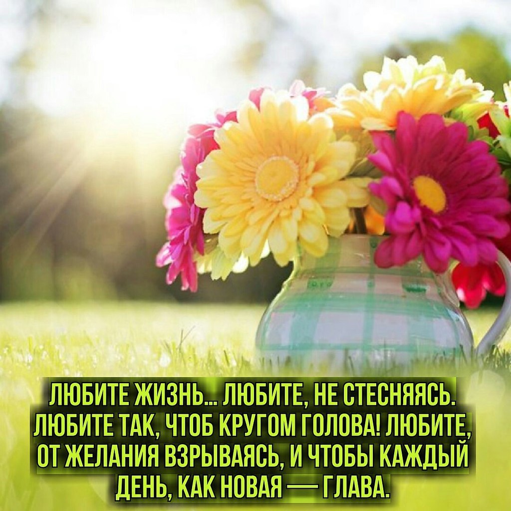   ,    . - 5  2019  16:49