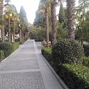 , ,05.12.19.8.25.   , 2019