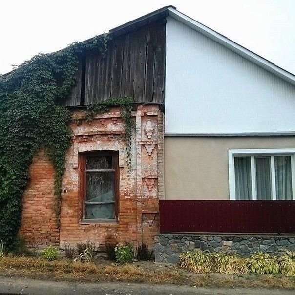  -  . - 5