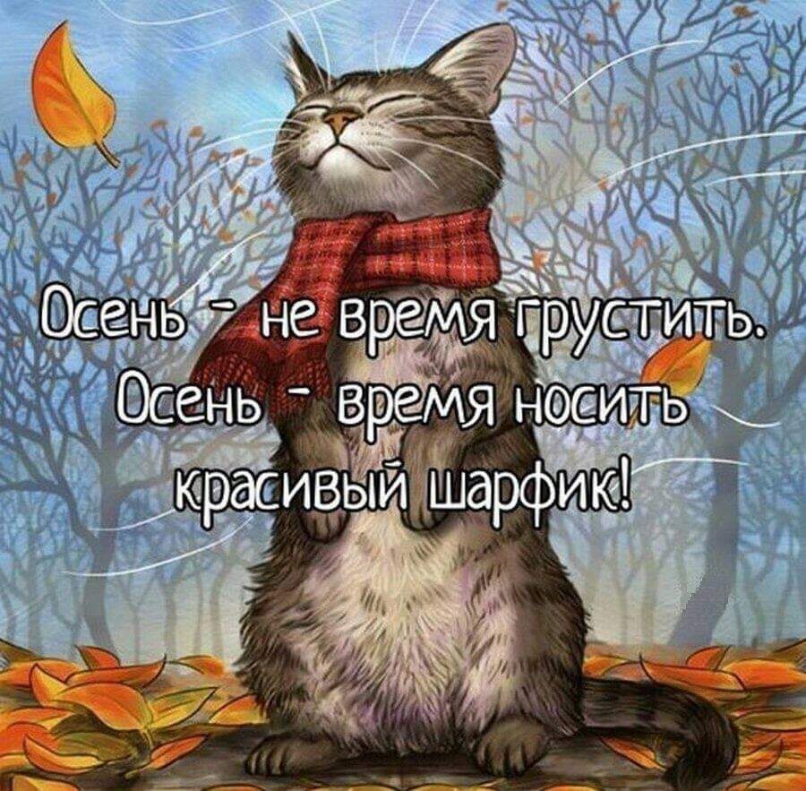  - 10  2019  11:44