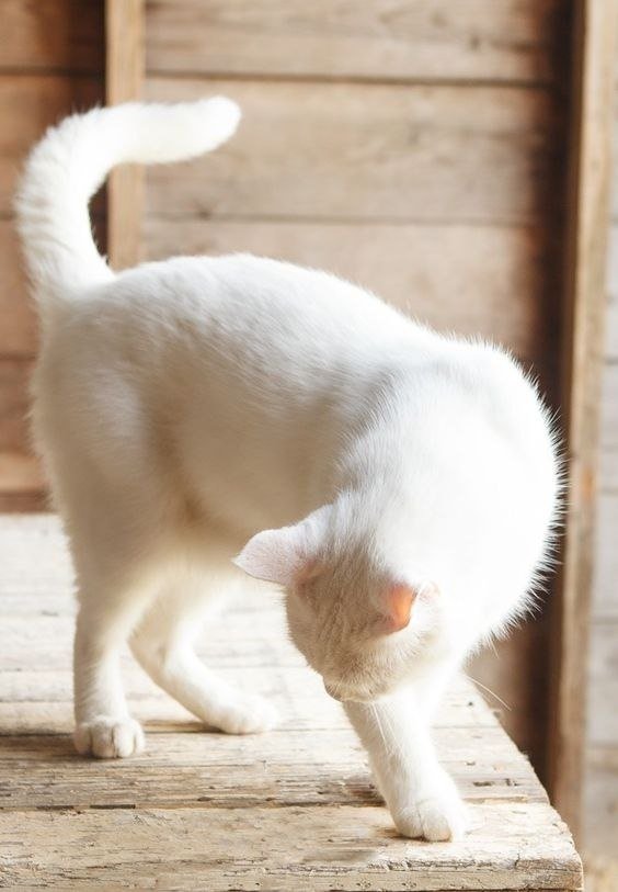   :3 - 3
