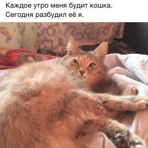 ~