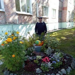 ��������, ����, 68 ���