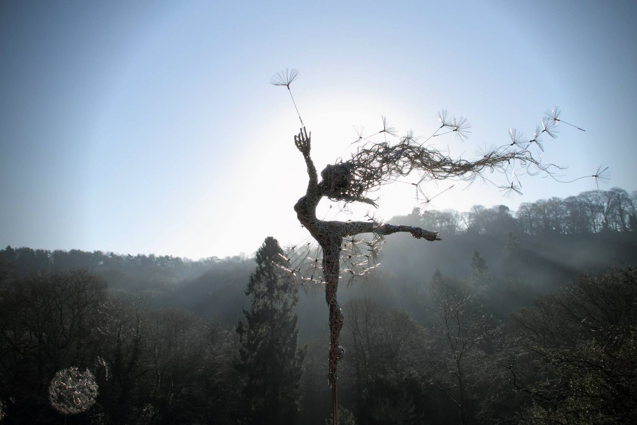     Robin Wight
