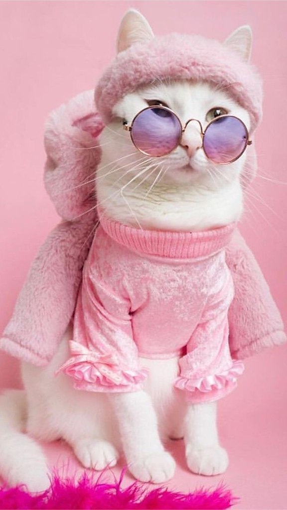 Zappa - ������ �����, ������������� ������� ������ �����.����������� ����� ����� - �������� ... - 9