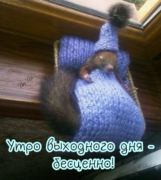 �� �������� - 15 ������� 2019 � 06:54