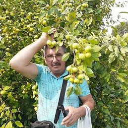 ���, ����������, 63 ����