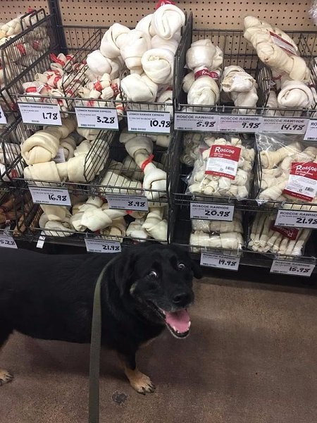 ....   , ?