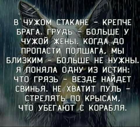     - 5  2019  03:25