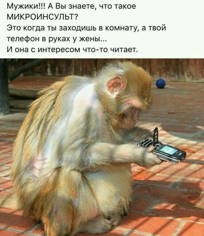   ! - 4  2019  10:04
