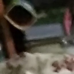 ����, ��������