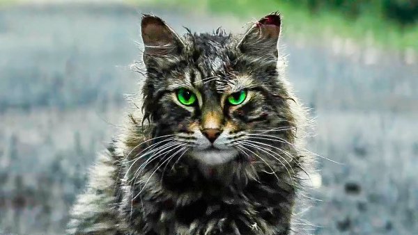 ������ ���� ������ ��� ����� �������� �������.K�a��uI�e �o�a�I�ux �u�o�I��x (2019) ������� ����: ... - 2