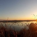 ���� ������ ������58, �������� - ��������� 10 ���� 2019 � ������ ������ ��������