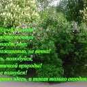 ���� ������, �����, 55 ��� - ��������� 14 ��� 2019 � ������ ������ ��������