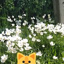 ���� Olga, ������������ - ��������� 17 ������� 2019 � ������ ���� ����������