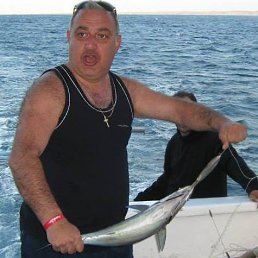 Gocha, �������, 58 ���