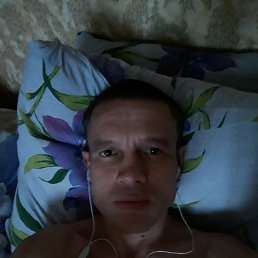 ���� ������, ������������, 46 ��� - ��������� 22 ���� 2019