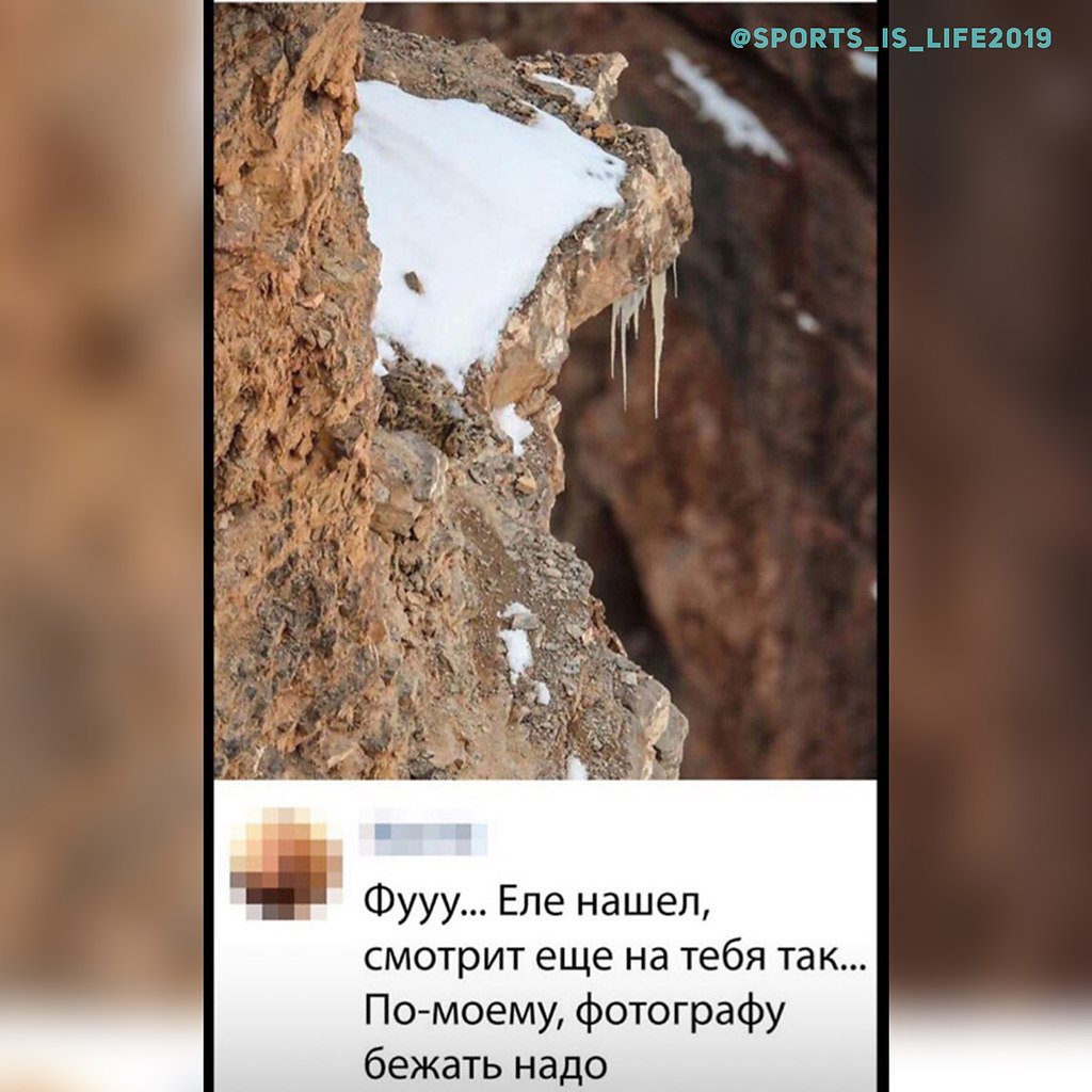    ? #SPORT__@sports_is_life2019 # #