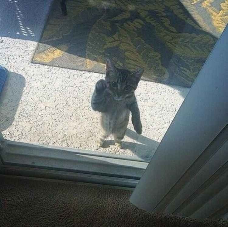 ..  ....   ....