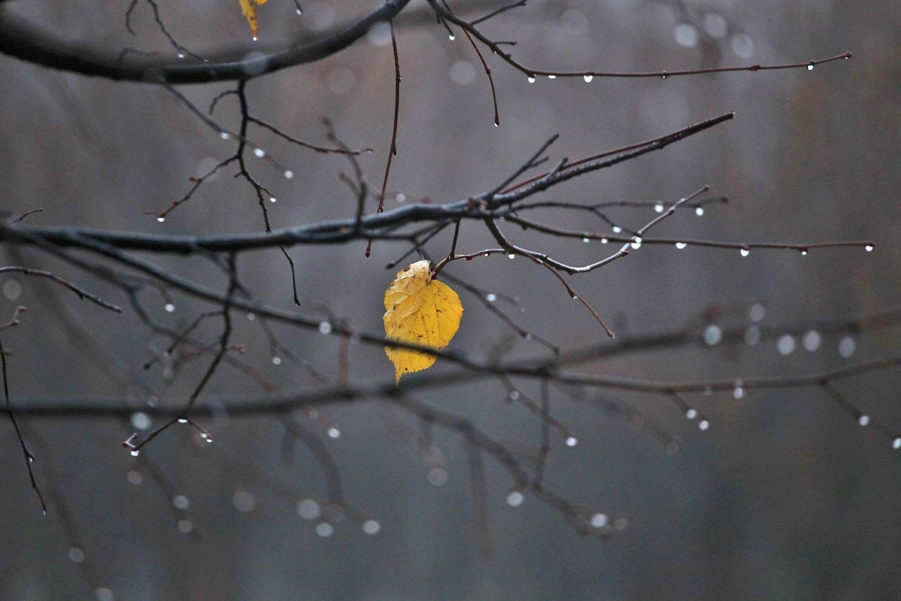 "...., ,      ......"     ,  ...