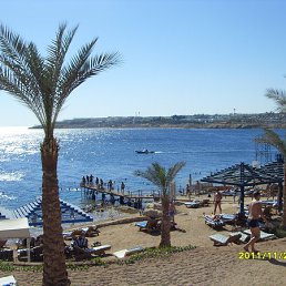 ����, ���������, 29 ���