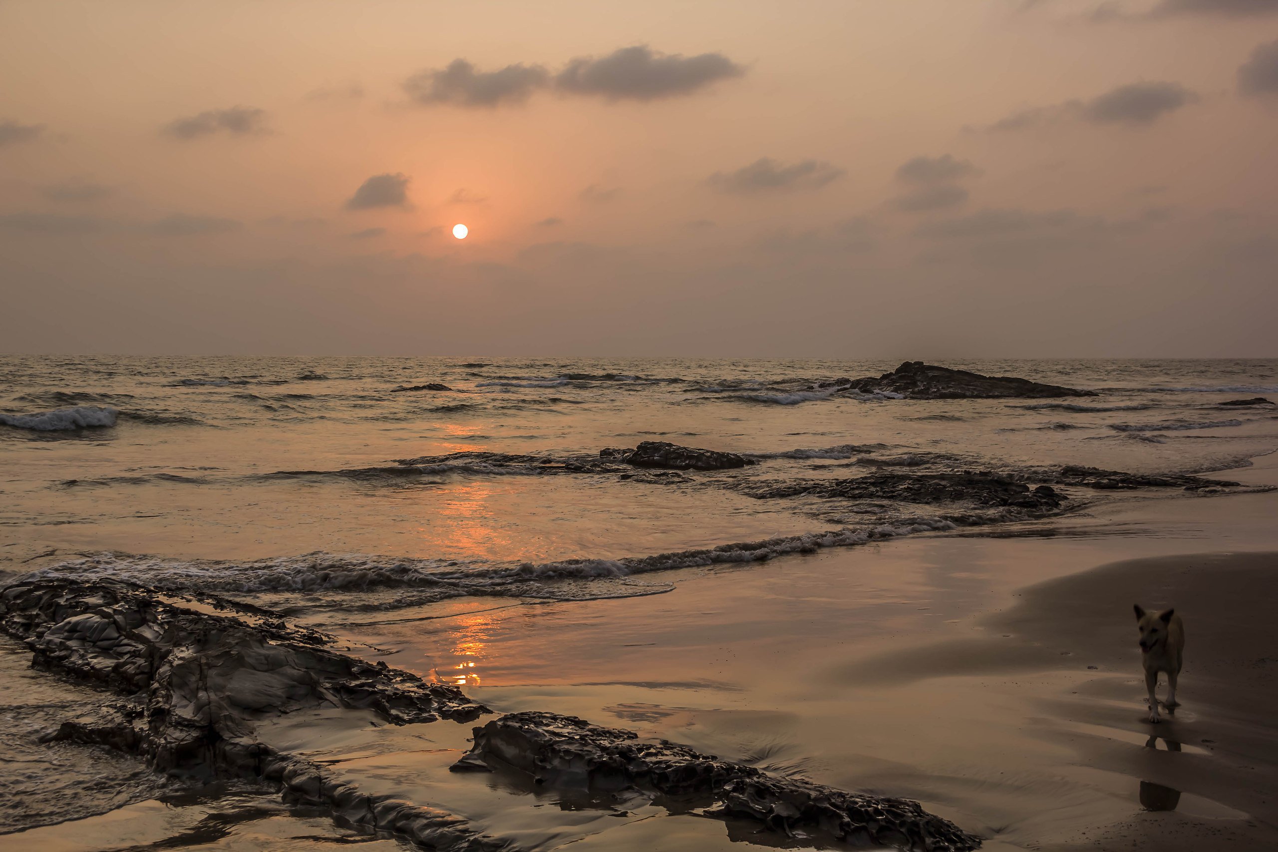 Goa. Evening beach story... #India #Goa # - 3