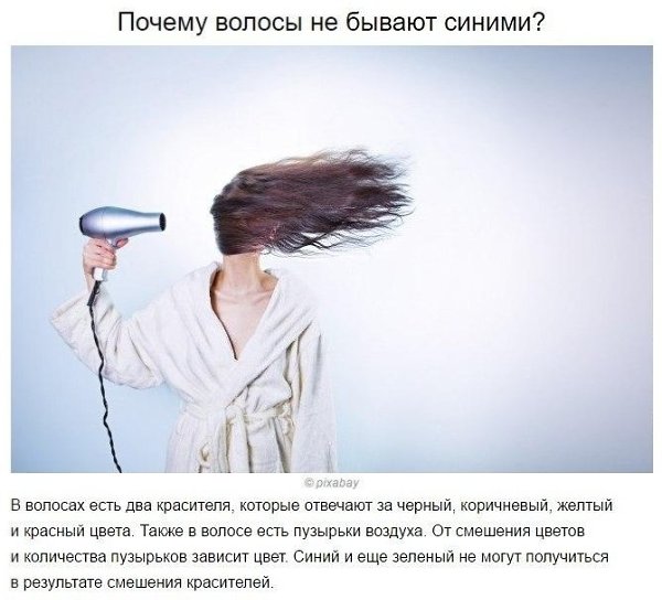 Ответы на частые детские «почемучки». Будет полезно вспомнить и мамам
