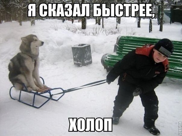 ? ,  ! - 15  2019  18:32