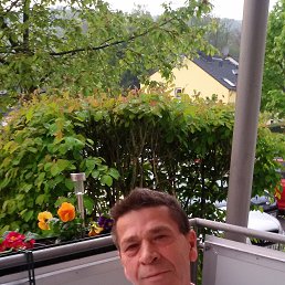 ���� ��������, ����, 72 ���� - ��������� 28 ��� 2019