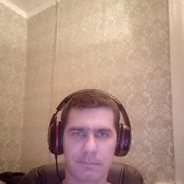 ����, ���������, 41 ���