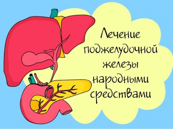 Чем можно полечить поджелудочную. Чем можно полечить поджелудочную