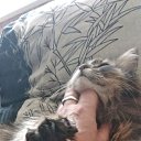  Andrew, , 49  -  9  2019   