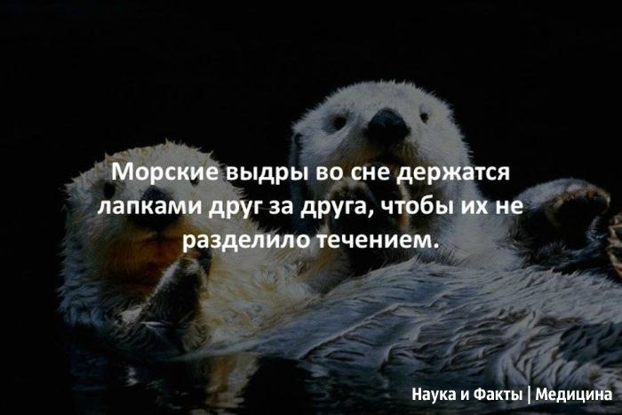 �������� - 11 ������� 2019 � 02:36