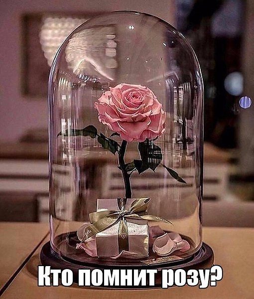   - 1  2019  03:36