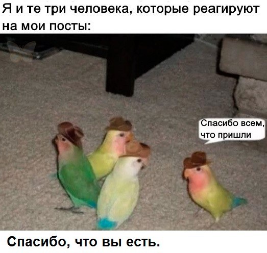 - 8  2019  15:17