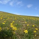 ���� ��������, ����� - ��������� 7 ������ 2019 � ������ �UZGTL�