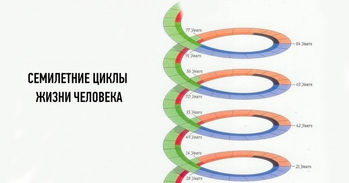 Семилетние циклы жизни человека.От 0 до 7 летСильная связь с матерью. Горизонтальное познание мира. ...