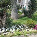 ���� ������, ������ - ��������� 24 ���� 2019 � ������ ���� ����������