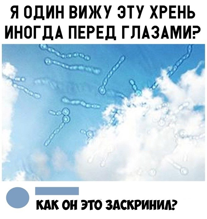    :D - 11  2019  03:25
