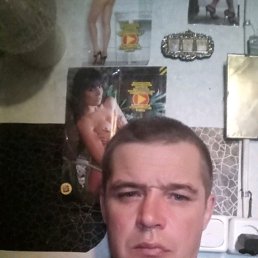 ������, 48 ���, ���������